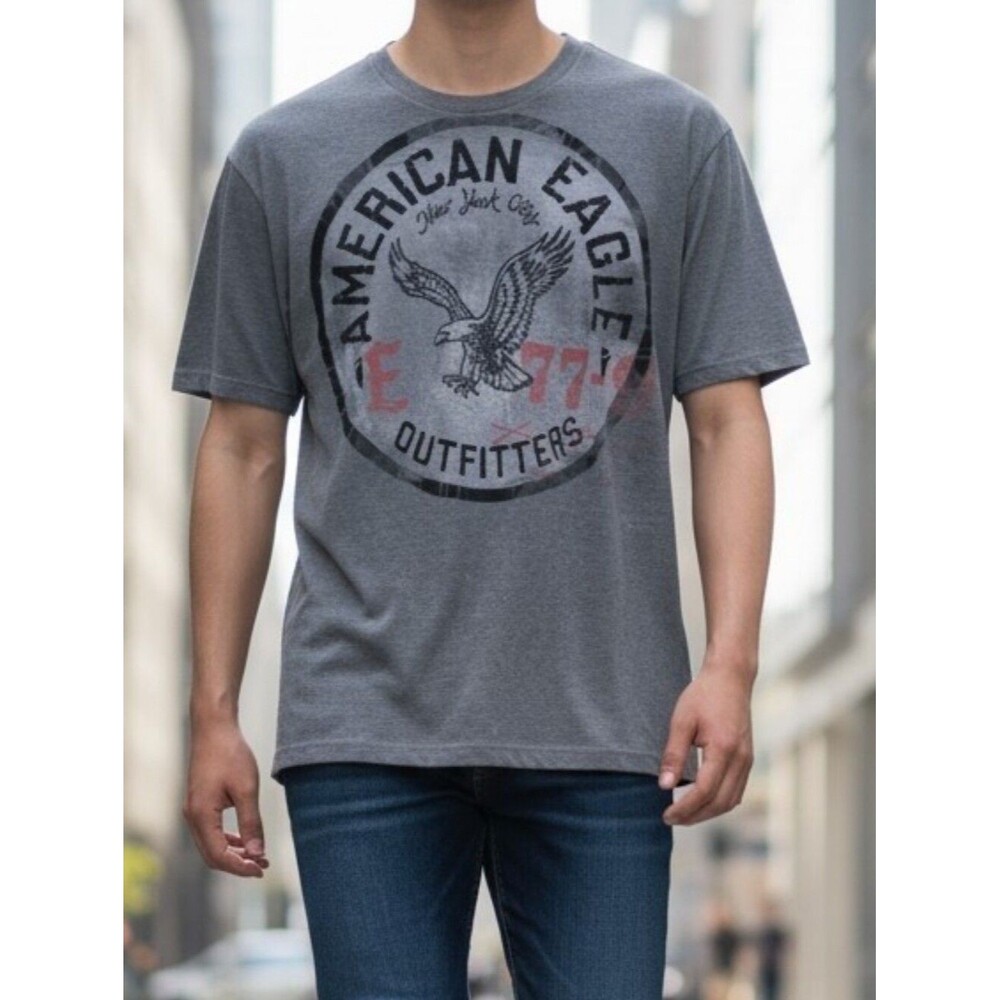 American Eagle Outfitters Gray Tee with Eagle Graphic, Velvet Print - Men Large